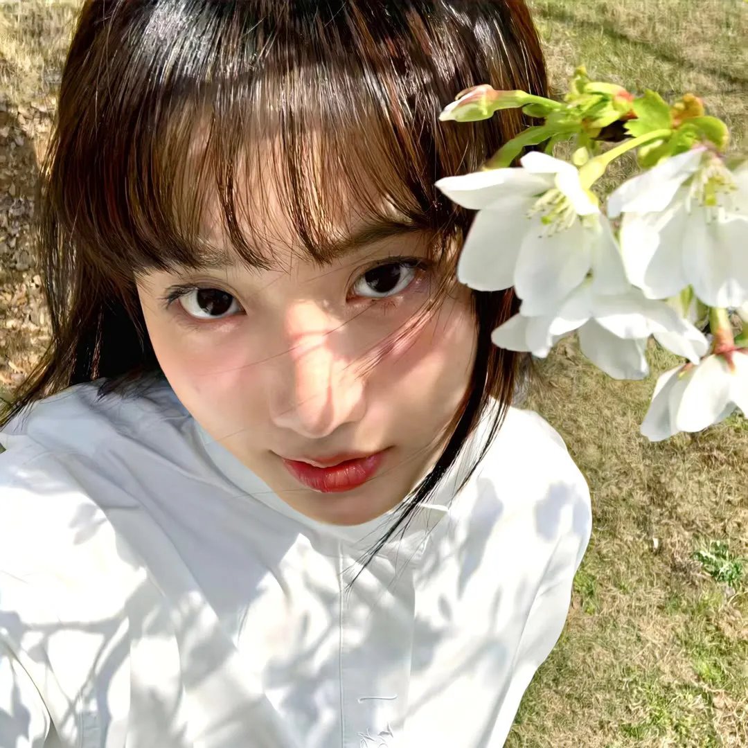 东海道四谷怪谈